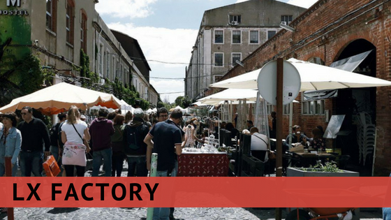 WHAT YOU NEED TO KNOW before jumping in.png