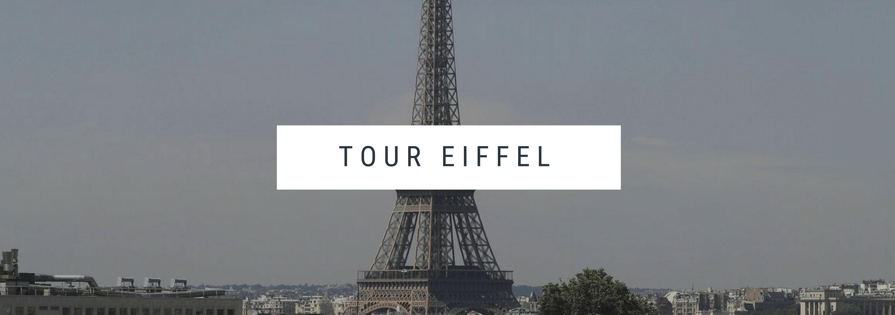 Musée du Louvre(1).png