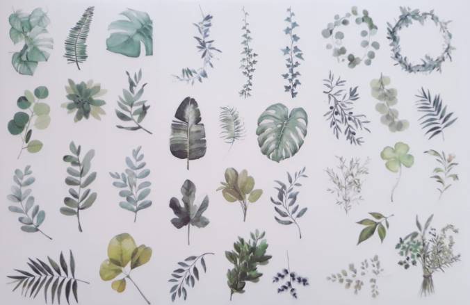 WhatsApp Image 2018-10-14 at 15.52.38