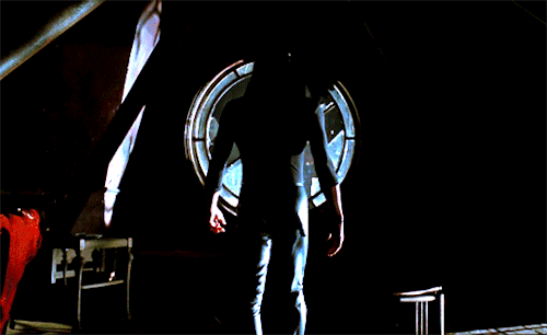 tumblr_pdpnh733am1txtch1o5_500